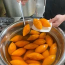 青螺餐厅·湘粤菜(北辰凤凰海店) - 长沙市旅游 缩略图 5