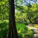 杭州西湖 - 杭州市旅游 缩略图 8