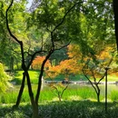 杭州西湖 - 杭州市旅游 缩略图 6