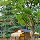 嘉兴子城遗址公园 - 嘉兴市旅游 缩略图 3