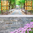 嘉兴子城遗址公园 - 嘉兴市旅游 缩略图 6