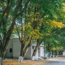 重庆理工大学(杨家坪校区) - 重庆市旅游 缩略图 4