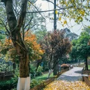 重庆理工大学(杨家坪校区) - 重庆市旅游 缩略图 5