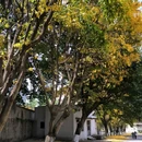 重庆理工大学(杨家坪校区) - 重庆市旅游 缩略图 8