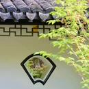 南湖景区 - 嘉兴市旅游 缩略图 3