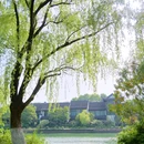 南湖景区 - 嘉兴市旅游 缩略图 5