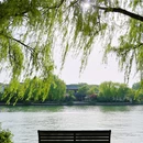 南湖景区 - 嘉兴市旅游 缩略图 7