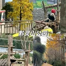 甲秀楼 - 贵阳市旅游 缩略图 6