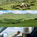 百草坪 - 毕节市旅游 缩略图 1