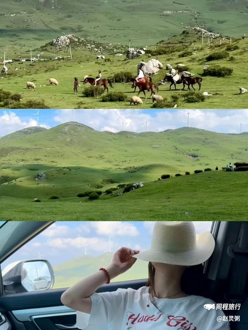 百草坪 - 毕节市旅游