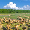中共江浙区泰兴独立纪念馆 - 泰州市旅游 缩略图 9