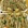 青岛市·青岛中山公园