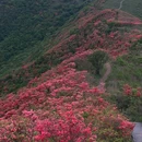 围山竹香阁民宿 - 长沙市旅游 缩略图 4
