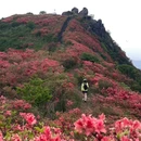 围山竹香阁民宿 - 长沙市旅游 缩略图 2