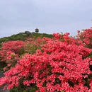 围山竹香阁民宿 - 长沙市旅游 缩略图 7