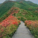 围山竹香阁民宿 - 长沙市旅游 缩略图 9