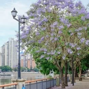 福州烟台山公园 - 福州市旅游 缩略图 8