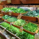 泗悸野菜馆(华阳店) - 成都市旅游 缩略图 7