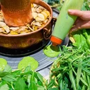 泗悸野菜馆(华阳店) - 成都市旅游 缩略图 2