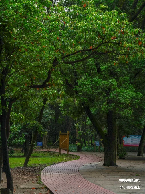 广东树木公园 - 广州市旅游
