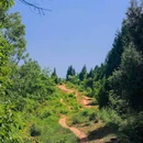 元包村四组[公交站] - 成都市旅游 缩略图 9