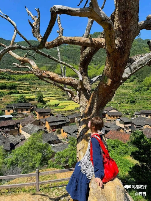 后畲村 - 丽水市旅游