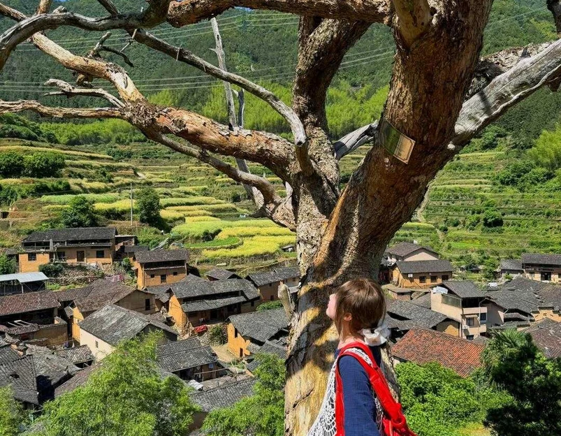 后畲村 - 丽水市旅游 1