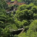 后畲村 - 丽水市旅游 缩略图 5