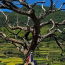 后畲村 - 丽水市旅游 缩略图 7
