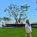 太子湾滨海岸线公园 - 深圳市旅游 缩略图 3