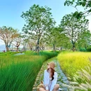 太子湾滨海岸线公园 - 深圳市旅游 缩略图 4