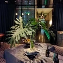 CHIN-CHIN Bistro(天目里店) - 杭州旅游 缩略图 7