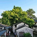 八字桥历史街区 - 绍兴市旅游 缩略图 4