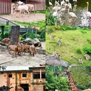 广州动物园 - 广州市旅游 缩略图 3