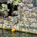 绍兴东湖风景区 - 绍兴市旅游 缩略图 6