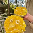 告庄西双景 - 西双版纳傣族自治州旅游 缩略图 4