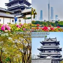 石室圣心大教堂 - 广州市旅游 缩略图 6