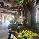 西双版纳傣族自治州 - 西双版纳旅游 缩略图 8