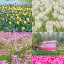 江苏省金坛茅山旅游度假区·一号农场萌动乐园 - 常州市旅游 缩略图 8