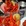 南京市·杨氏青龙虾(南湖店)