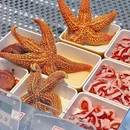 鲜主·牛肉海鲜·自选火锅(CP静安店) - 上海市旅游 缩略图 1