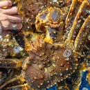 东海隐庐海鲜姿造(嘉定新城店) - 上海市旅游 缩略图 7