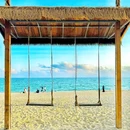 玫瑰海岸 - 深圳旅游 缩略图 7