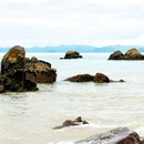 玫瑰海岸 - 深圳旅游 缩略图 8