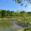 直坑村 - 梅州旅游 缩略图 8