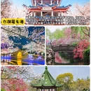 无锡灵山胜境 - 无锡市旅游 缩略图 6