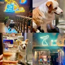 氿局(白塔寺店) - 北京市旅游 缩略图 4