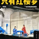 只有红楼梦 · 戏剧幻城 - 廊坊旅游 缩略图 1