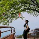 少华山国家森林公园 - 渭南市旅游 缩略图 5
