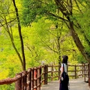 少华山国家森林公园 - 渭南市旅游 缩略图 1